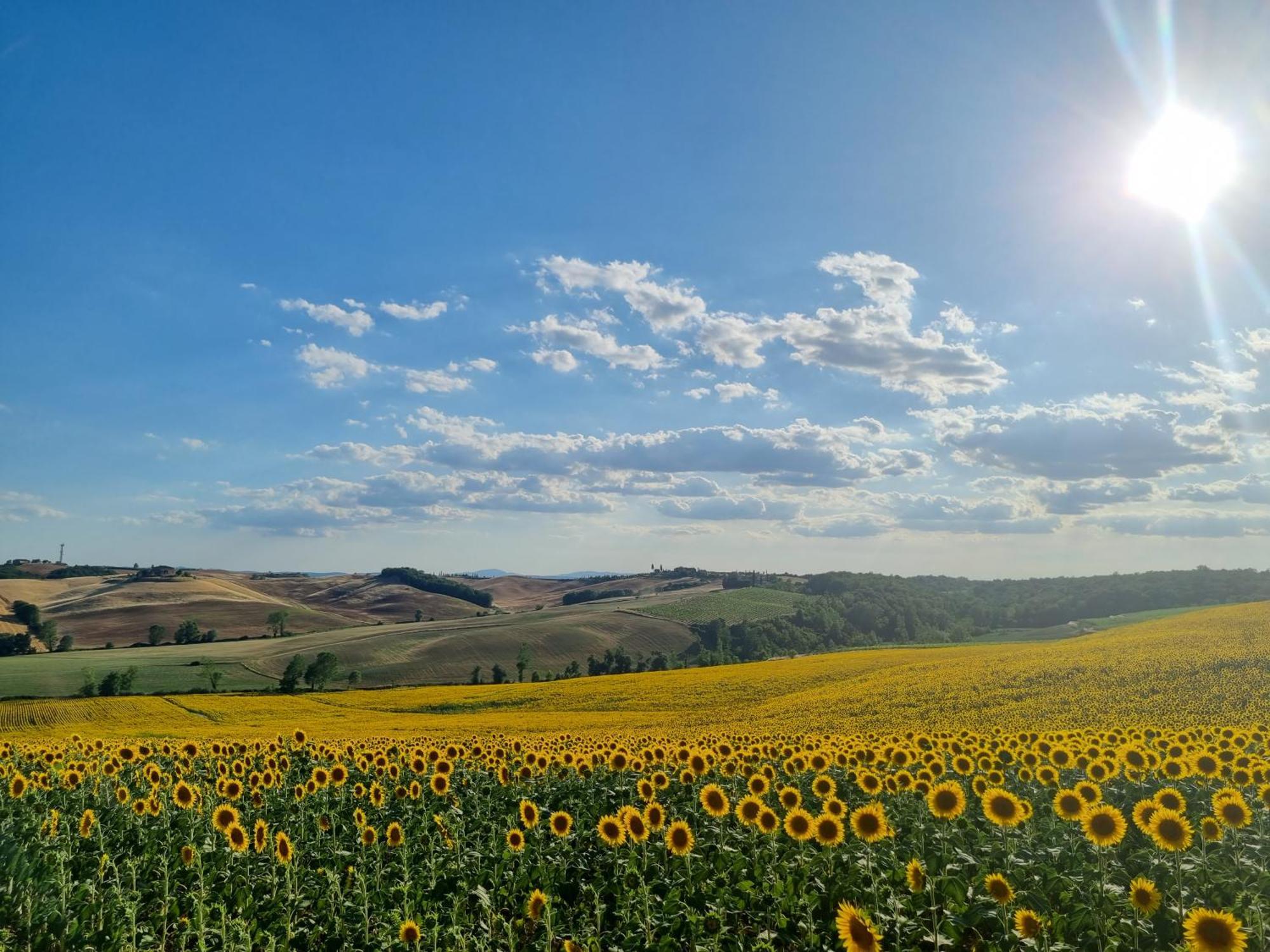 הוילה קסטלנואובו ברארדנגה Agriturismo Melariano מראה חיצוני תמונה