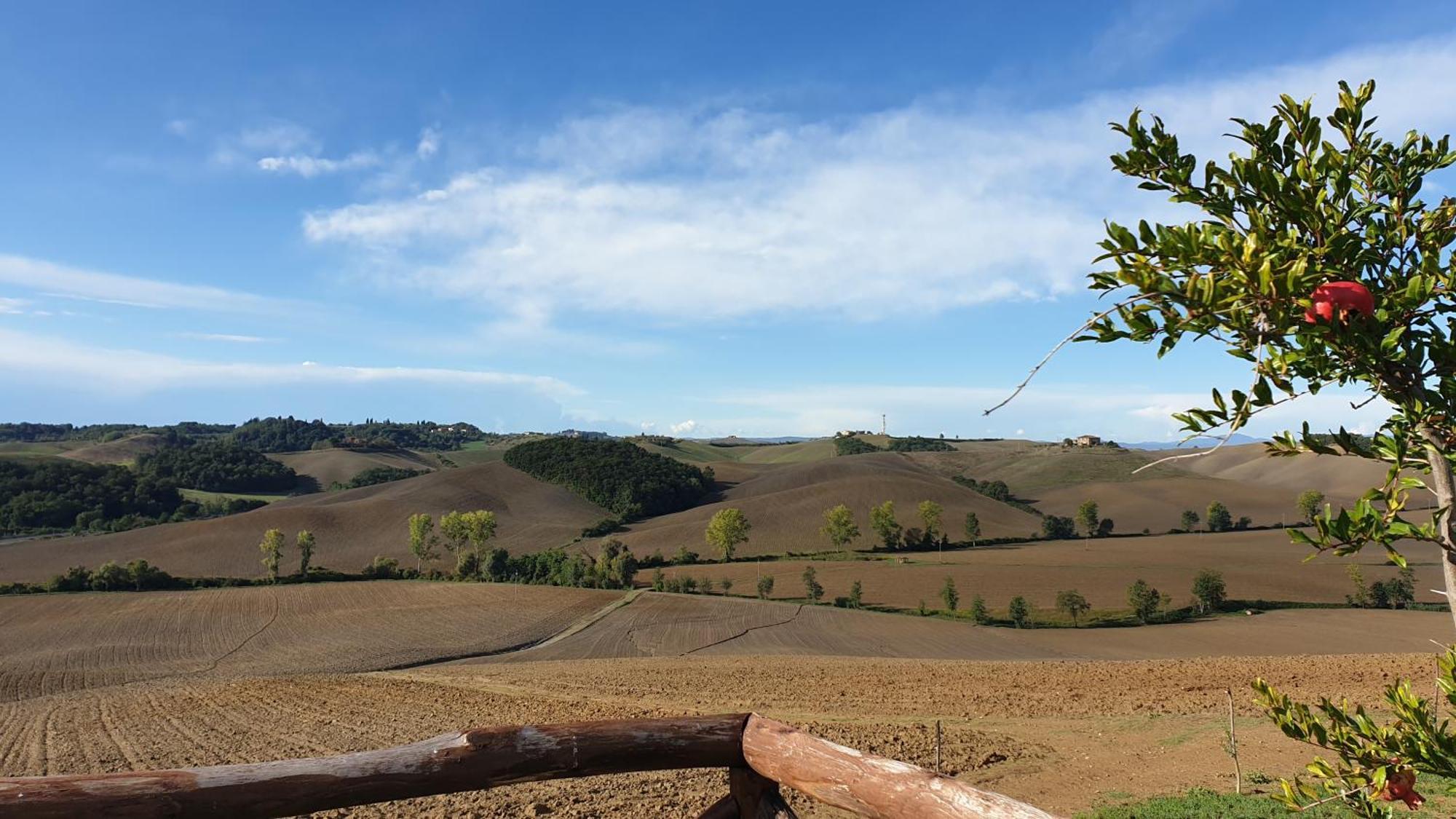 הוילה קסטלנואובו ברארדנגה Agriturismo Melariano מראה חיצוני תמונה