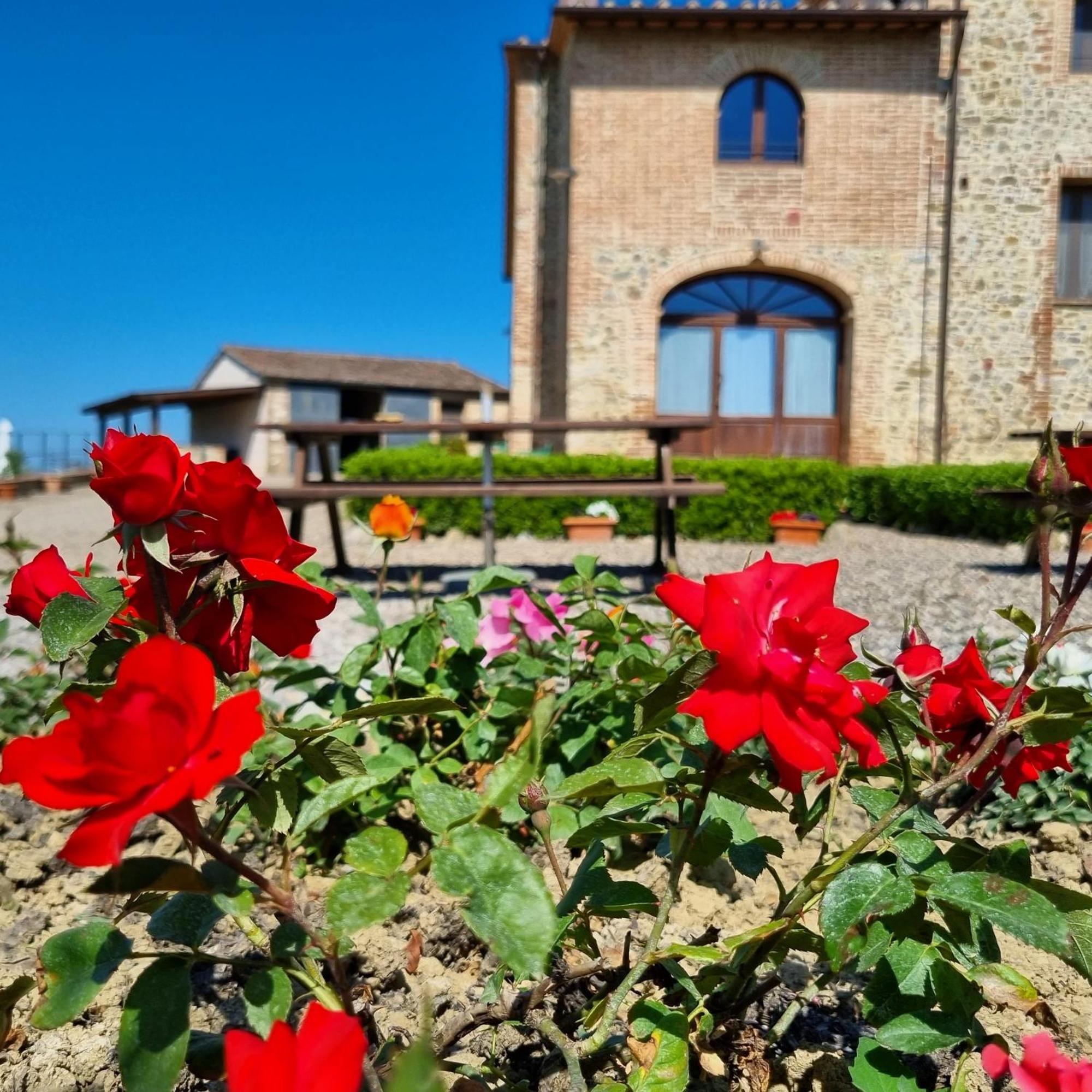 הוילה קסטלנואובו ברארדנגה Agriturismo Melariano מראה חיצוני תמונה